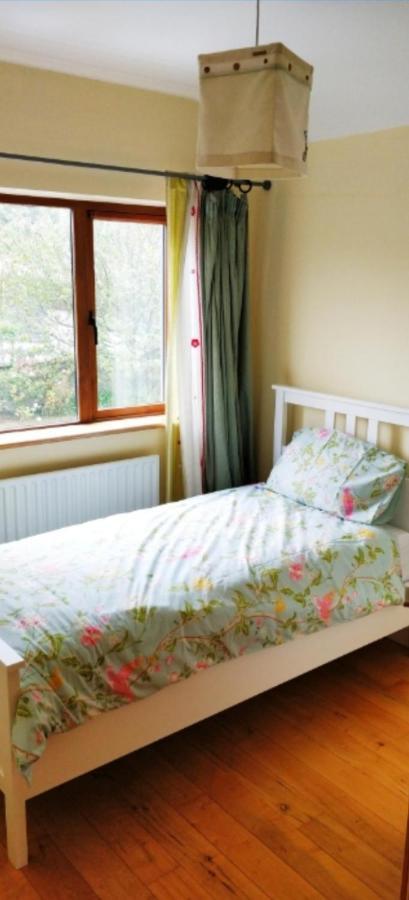 Luxury Skibbereen Town House Екстериор снимка