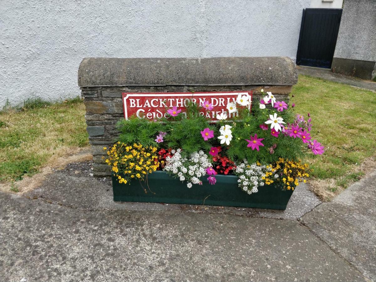 Luxury Skibbereen Town House Екстериор снимка